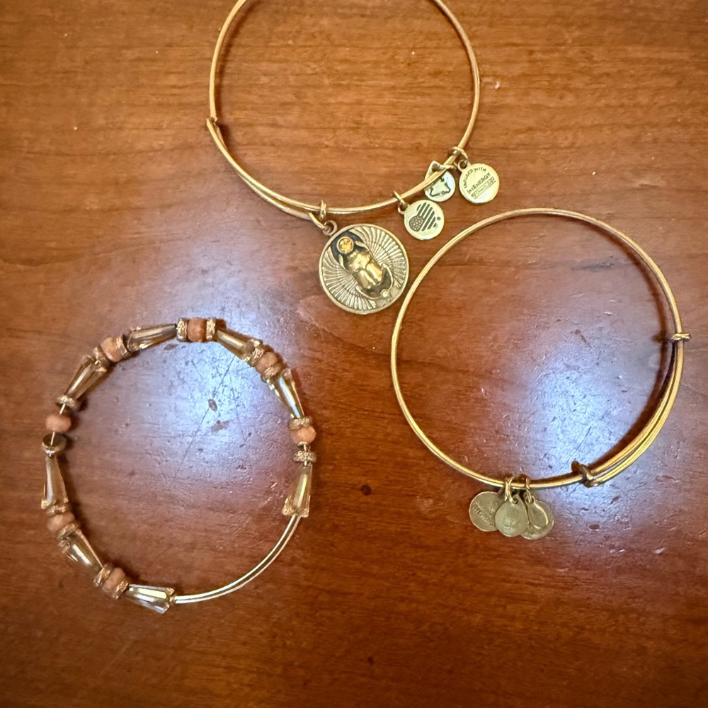 Alex and Ani Gold and Brown Charm Bracelets